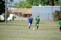 Sharks Soccer- Fall 2023